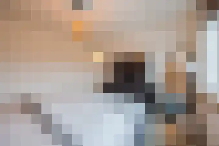 Jan Vermeerlaan 160 Roosendaal thumbnail 37