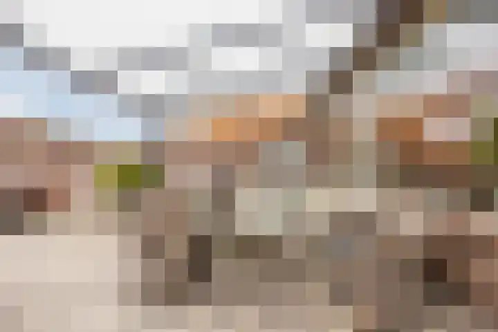 Jan Vermeerlaan 160 Roosendaal thumbnail 46