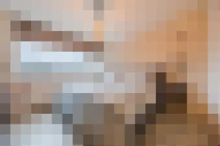 Jan Vermeerlaan 160 Roosendaal thumbnail 5