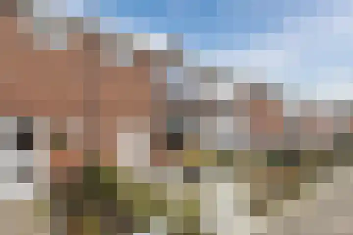 Jan Vermeerlaan 160 Roosendaal thumbnail 9