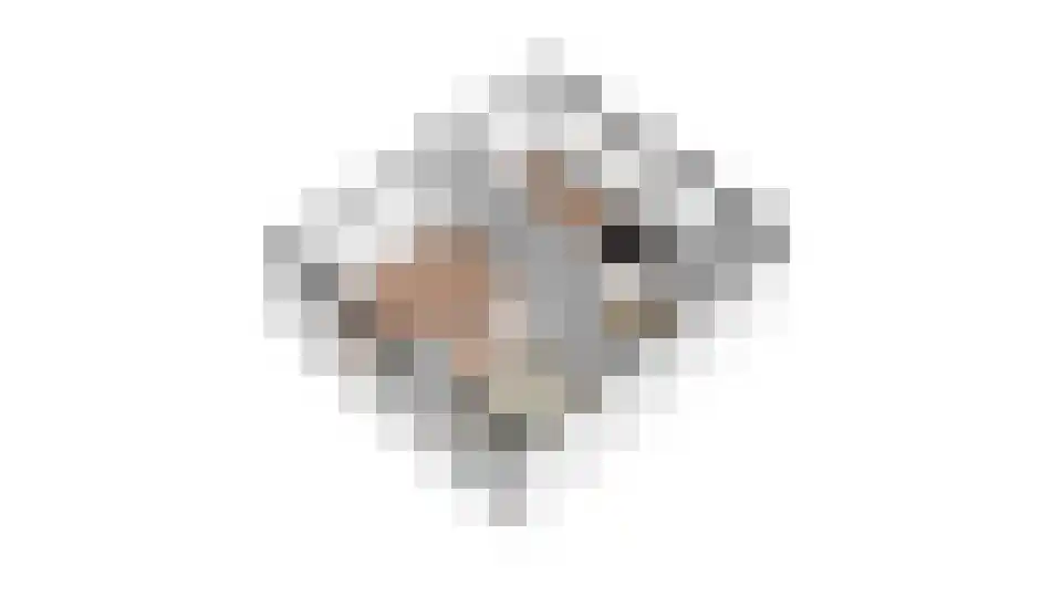 Jan Vermeerlaan 26 Roosendaal thumbnail 36