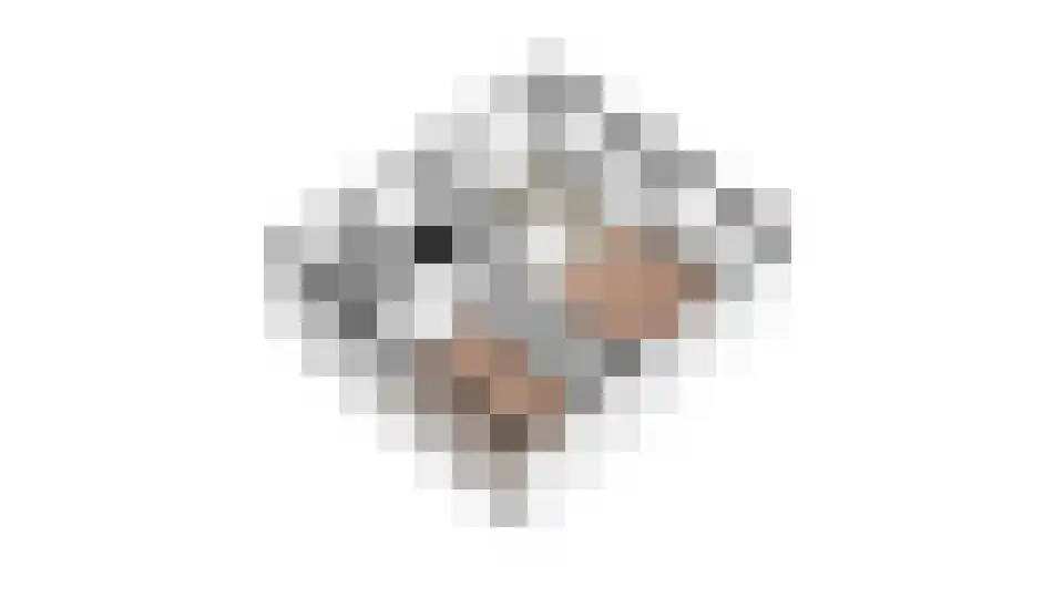 Jan Vermeerlaan 26 Roosendaal thumbnail 37