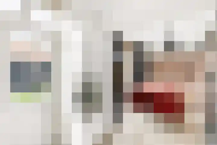 Jan Vermeerlaan 34 Vlissingen thumbnail 11