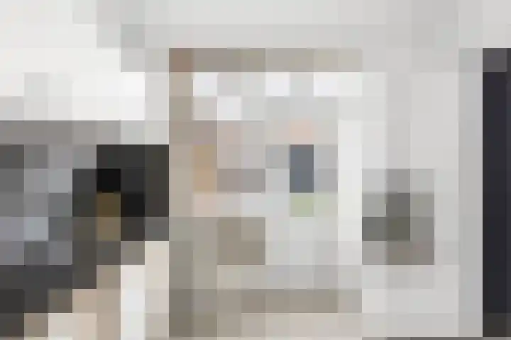 Jan Vermeerlaan 34 Vlissingen thumbnail 14