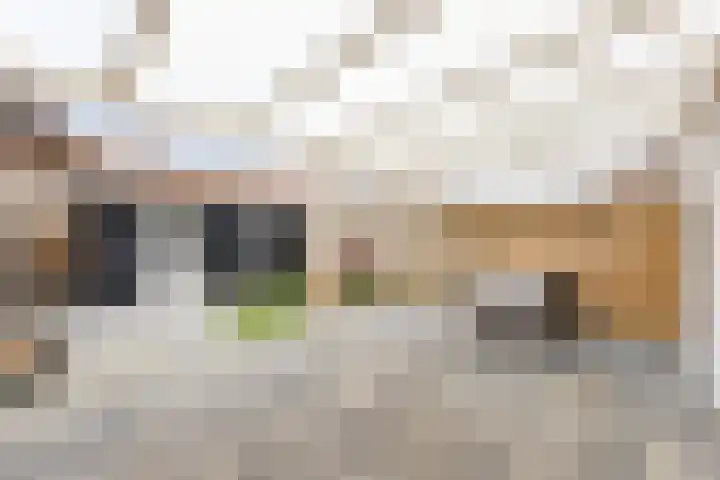 Jan Vermeerlaan 34 Vlissingen thumbnail 15
