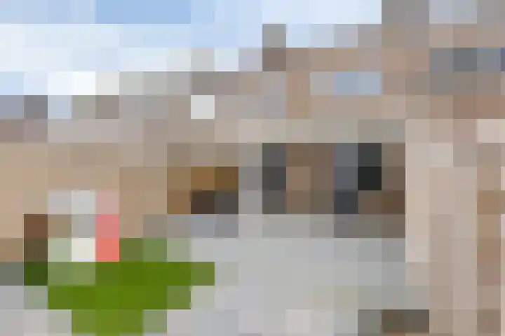 Jan Vermeerlaan 34 Vlissingen thumbnail 16