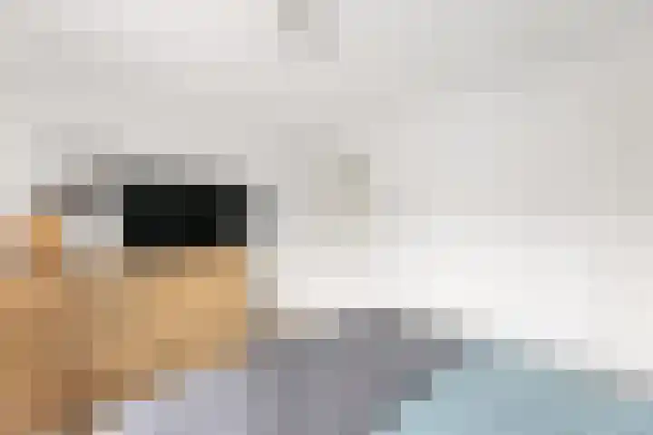 Jan Vermeerlaan 34 Vlissingen thumbnail 22
