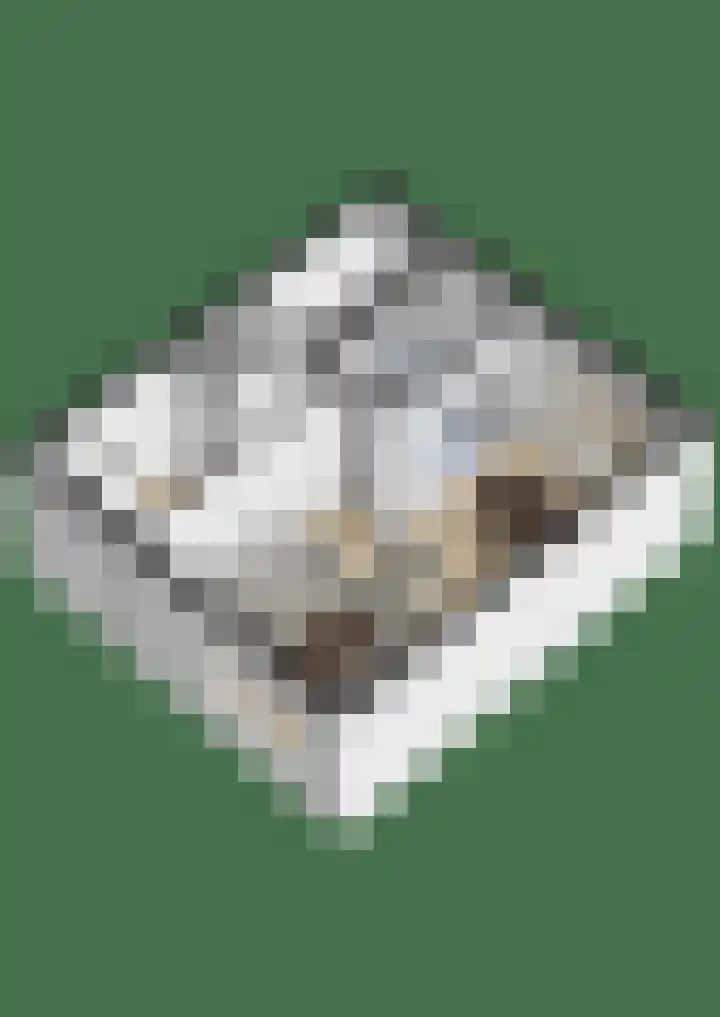 Jan Vermeerlaan 34 Vlissingen thumbnail 31