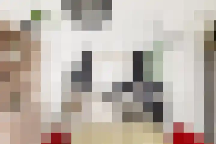 Jan Vermeerlaan 34 Vlissingen thumbnail 7