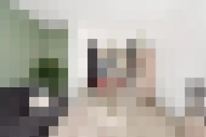 Jan Vermeerlaan 34 Vlissingen thumbnail 8