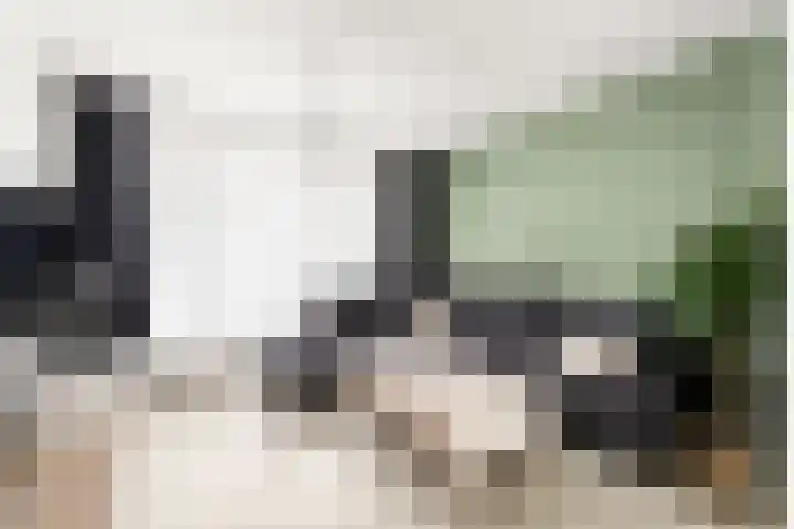 Jan Vermeerlaan 34 Vlissingen thumbnail 9