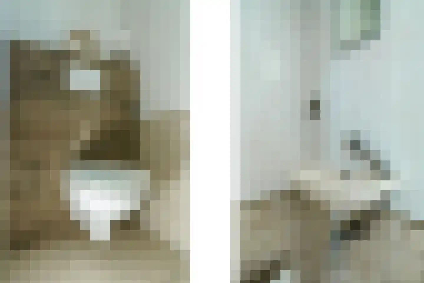 Jan Vermeerlaan 4 Heeze thumbnail 13