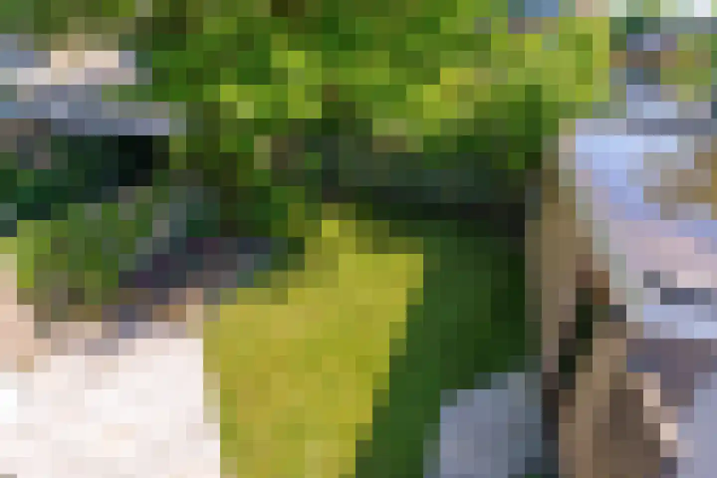Jan Vermeerlaan 4 Heeze thumbnail 20