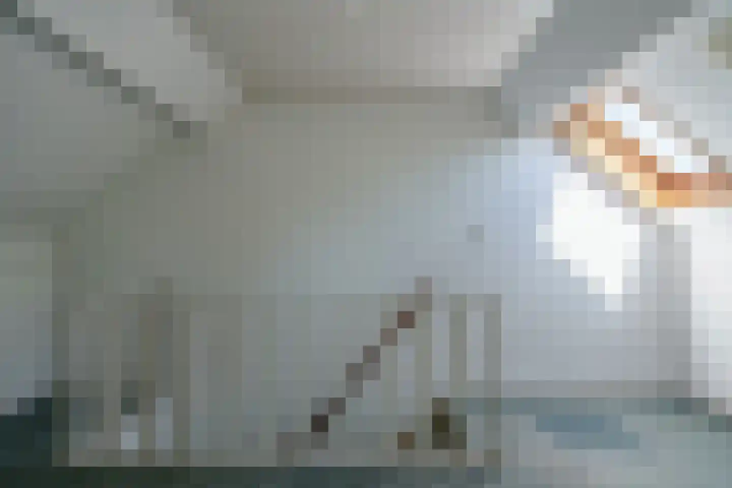 Jan Vermeerlaan 4 Heeze thumbnail 24