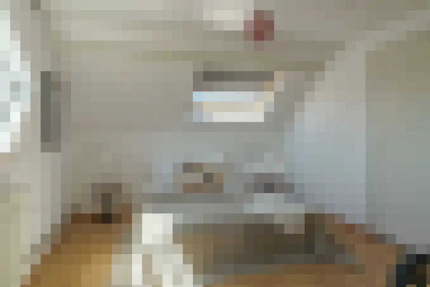 Jan Vermeerlaan 4 Heeze thumbnail 26