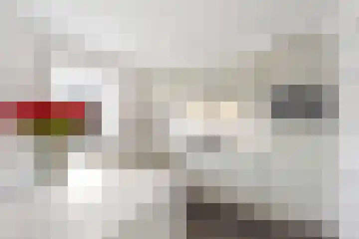 Jan Vermeerlaan 42 Roosendaal thumbnail 14