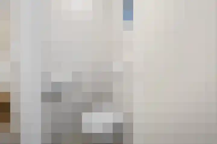 Jan Vermeerlaan 42 Roosendaal thumbnail 17