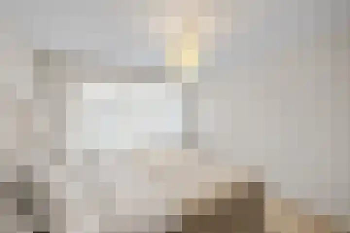 Jan Vermeerlaan 42 Roosendaal thumbnail 20