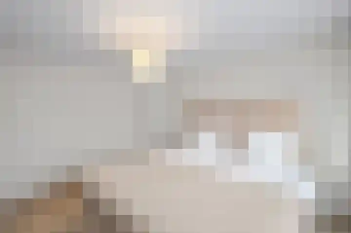 Jan Vermeerlaan 42 Roosendaal thumbnail 21