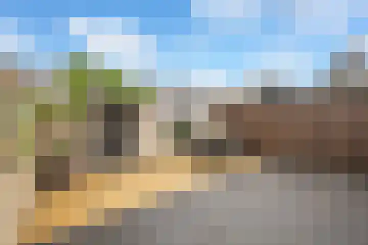 Jan Vermeerlaan 42 Roosendaal thumbnail 5