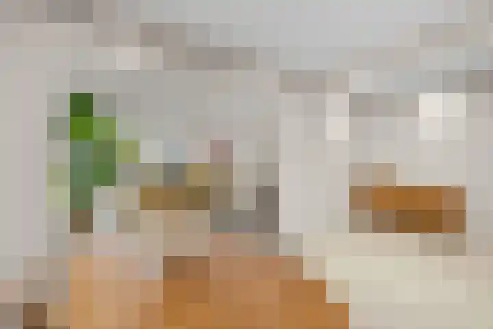 Jan Vermeerlaan 42 Roosendaal thumbnail 8