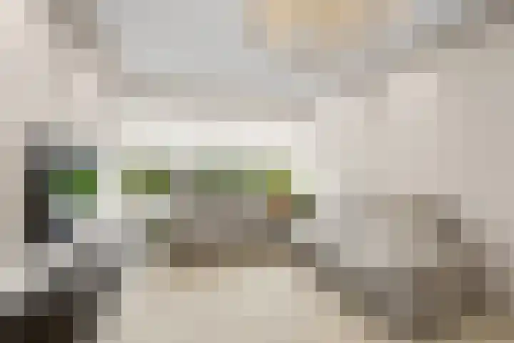Jan Vermeerlaan 42 Roosendaal thumbnail 9