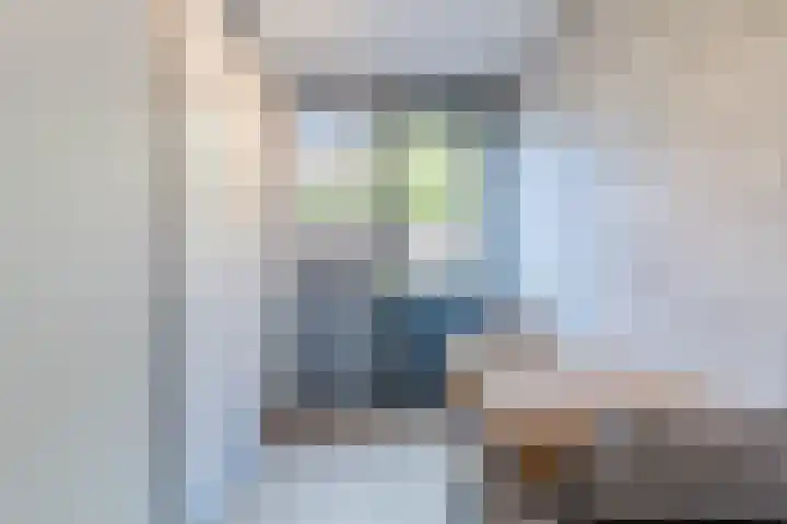 Jan Vermeerplein 29 De Lier thumbnail 10