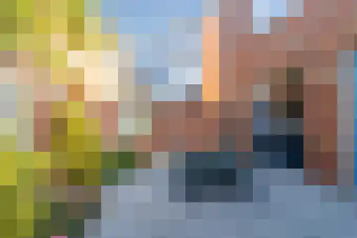 Jan Vermeerplein 29 De Lier thumbnail 15