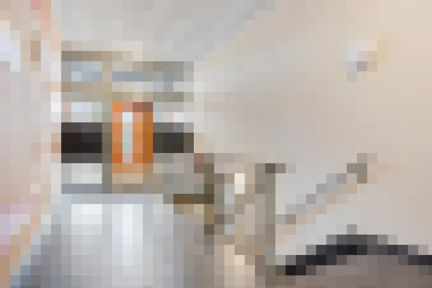 Jan Vermeerplein 67 De Lier thumbnail 4