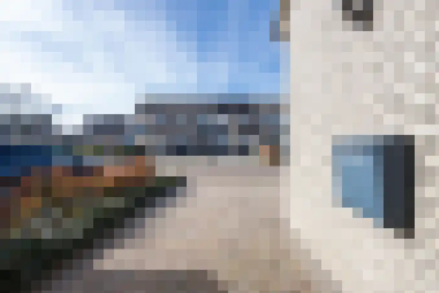 Jan Vermeerstraat 10 Tiel thumbnail 11