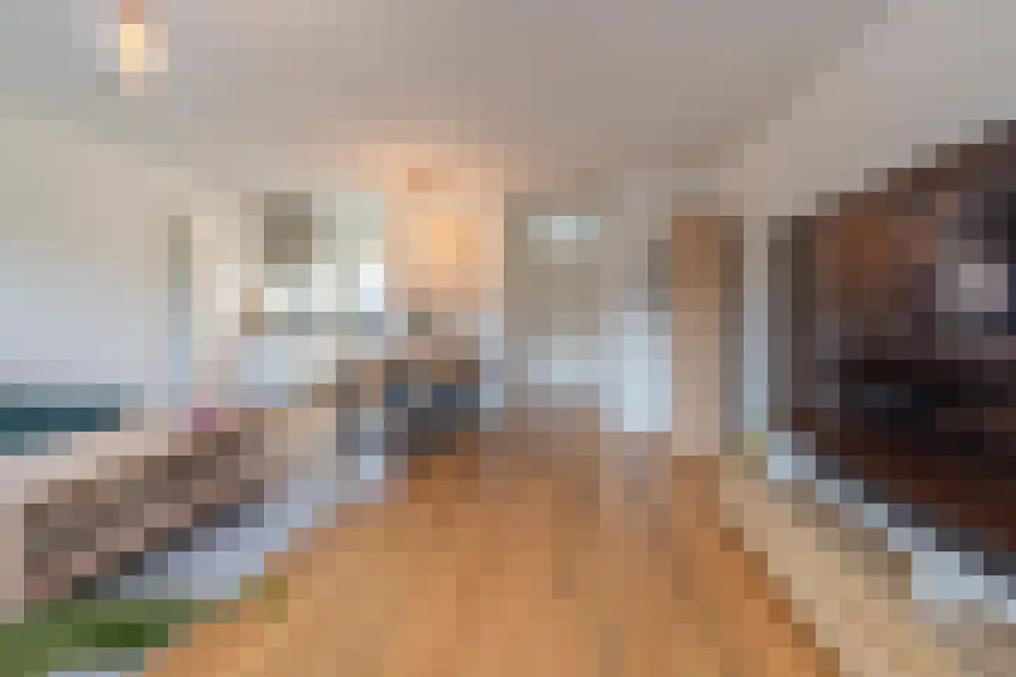 Jan Vermeerstraat 10 Tiel thumbnail 17