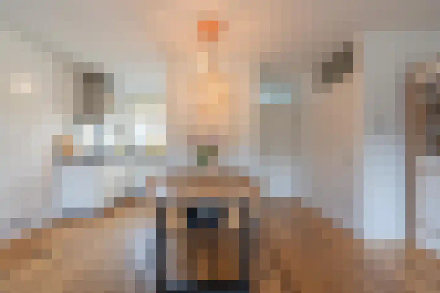 Jan Vermeerstraat 10 Tiel thumbnail 18