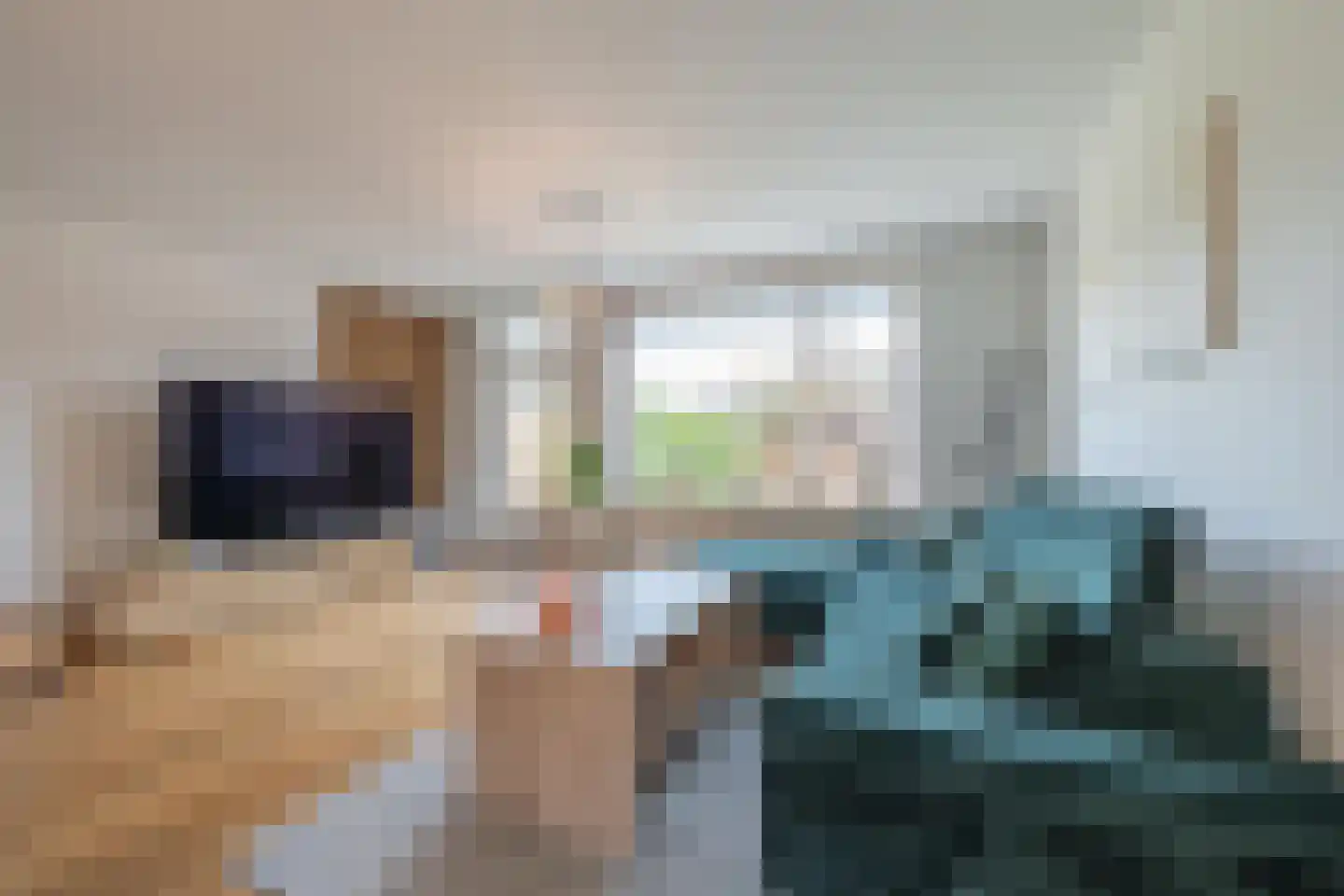 Jan Vermeerstraat 10 Tiel thumbnail 19