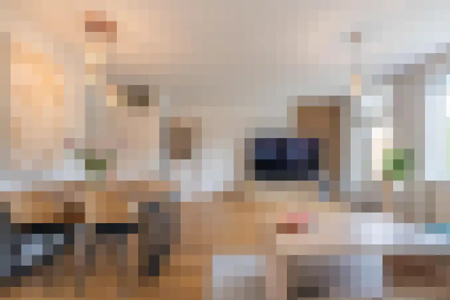 Jan Vermeerstraat 10 Tiel thumbnail 20