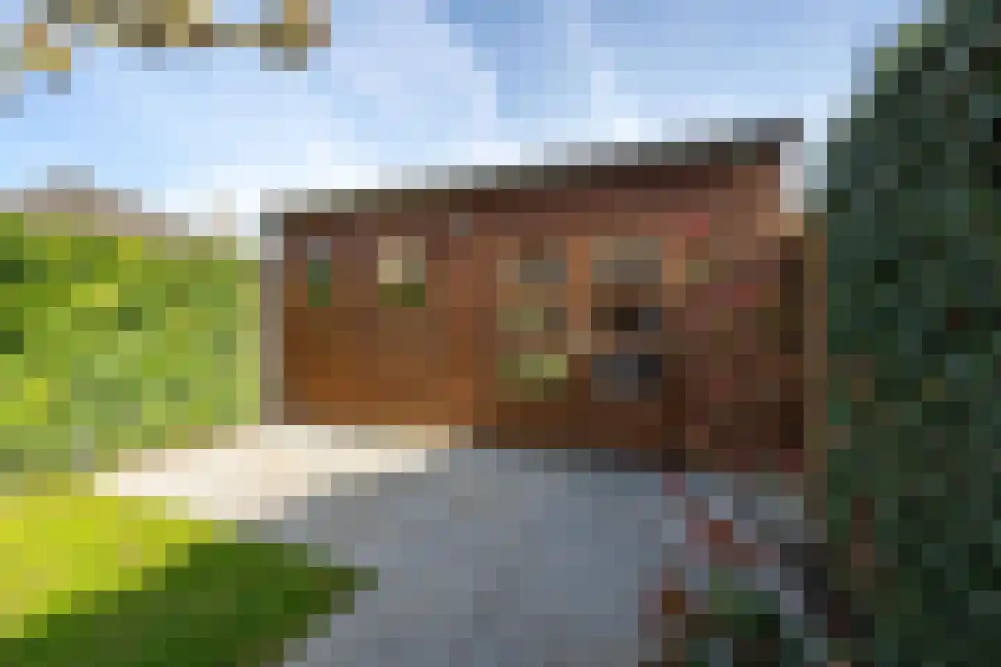 Jan Vermeerstraat 10 Tiel thumbnail 32