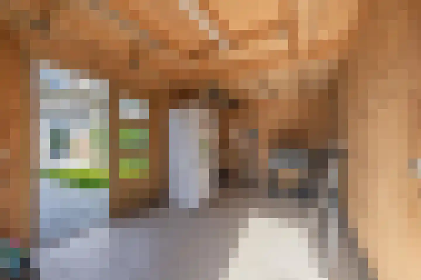 Jan Vermeerstraat 10 Tiel thumbnail 33