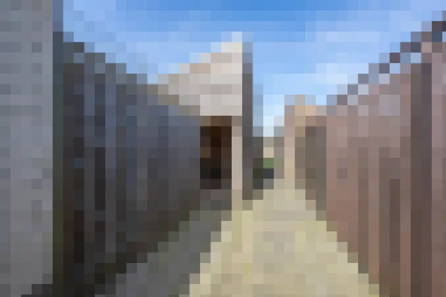 Jan Vermeerstraat 10 Tiel thumbnail 36