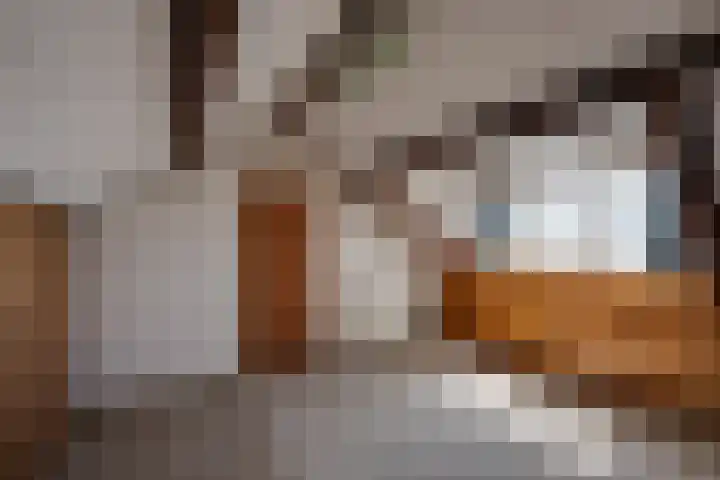 Jan Vermeerstraat 12 Rucphen thumbnail 30