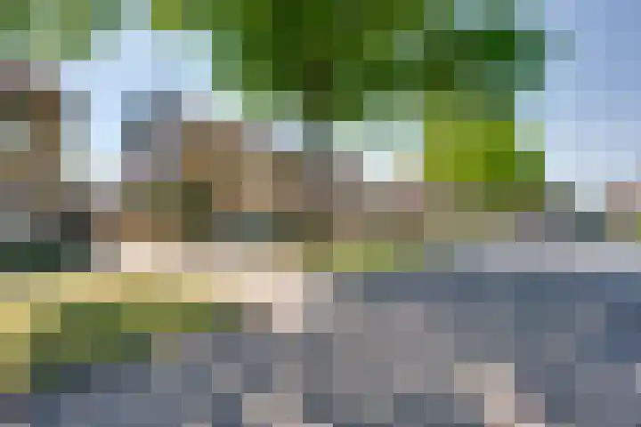 Jan Vermeerstraat 12 Rucphen thumbnail 5