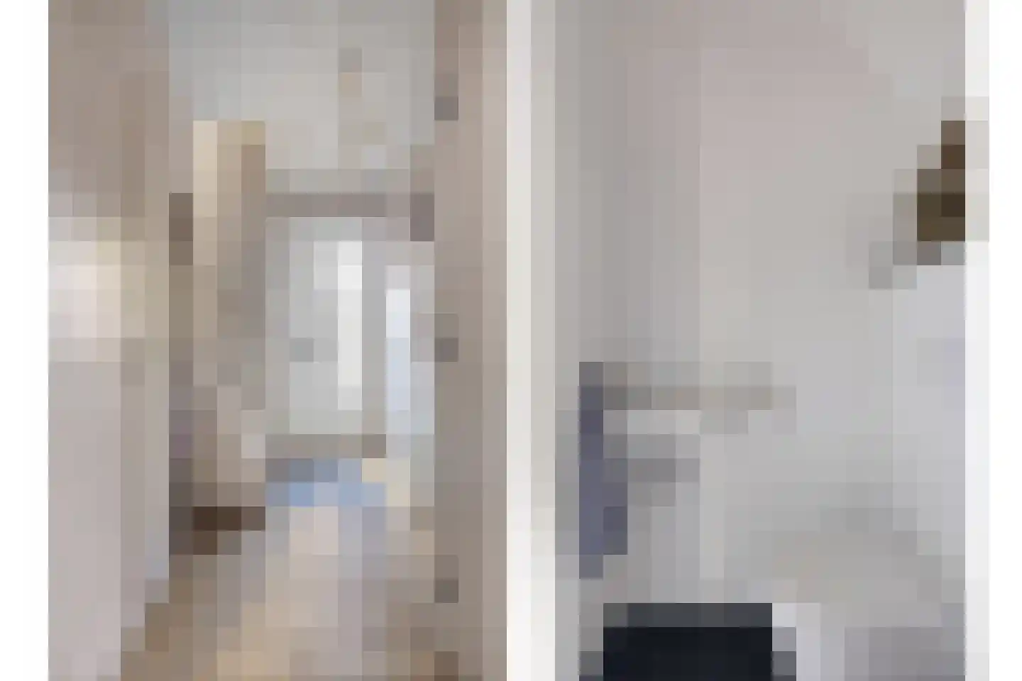 Jan Vermeerstraat 15 Baarlo thumbnail 11