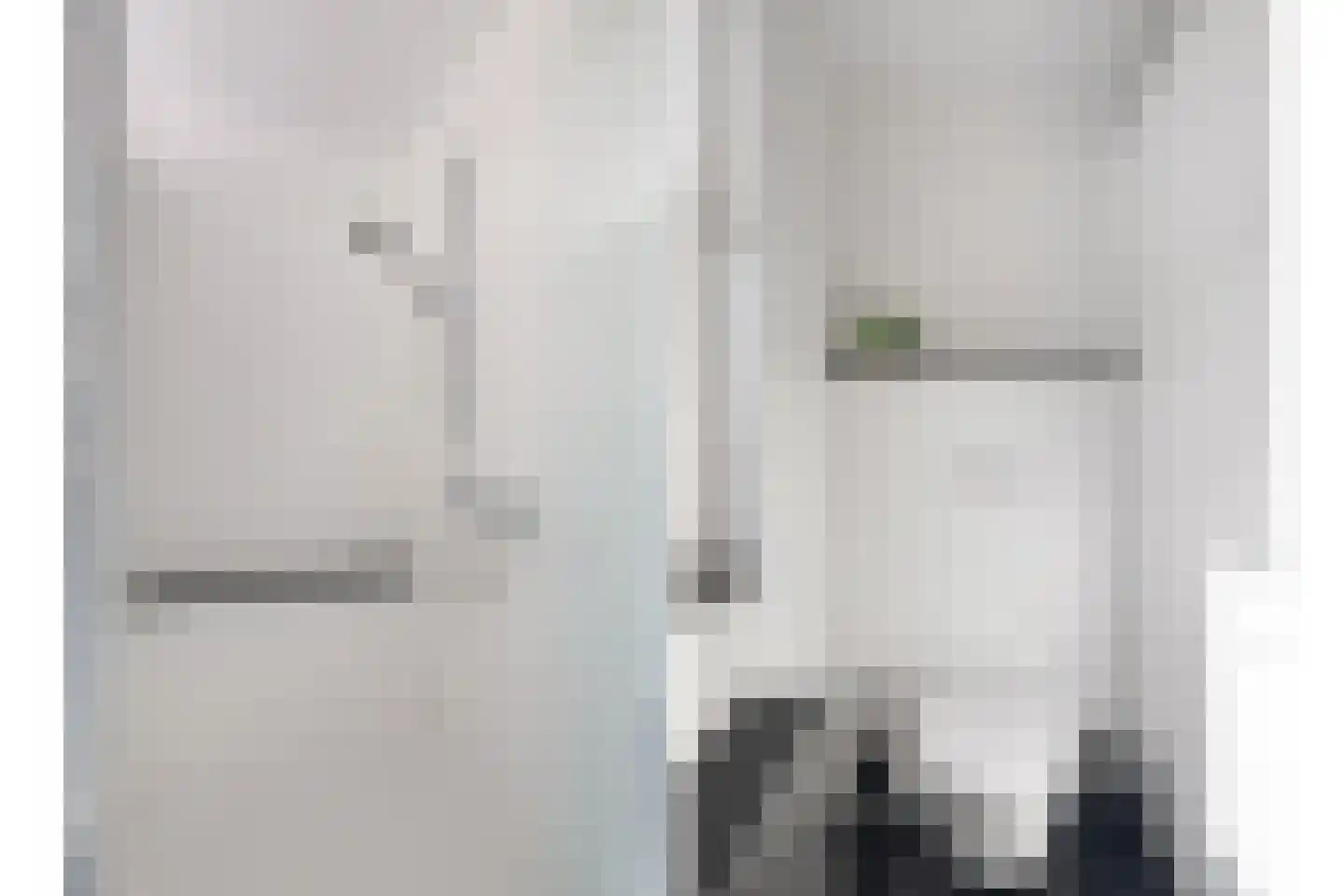 Jan Vermeerstraat 15 Baarlo thumbnail 21