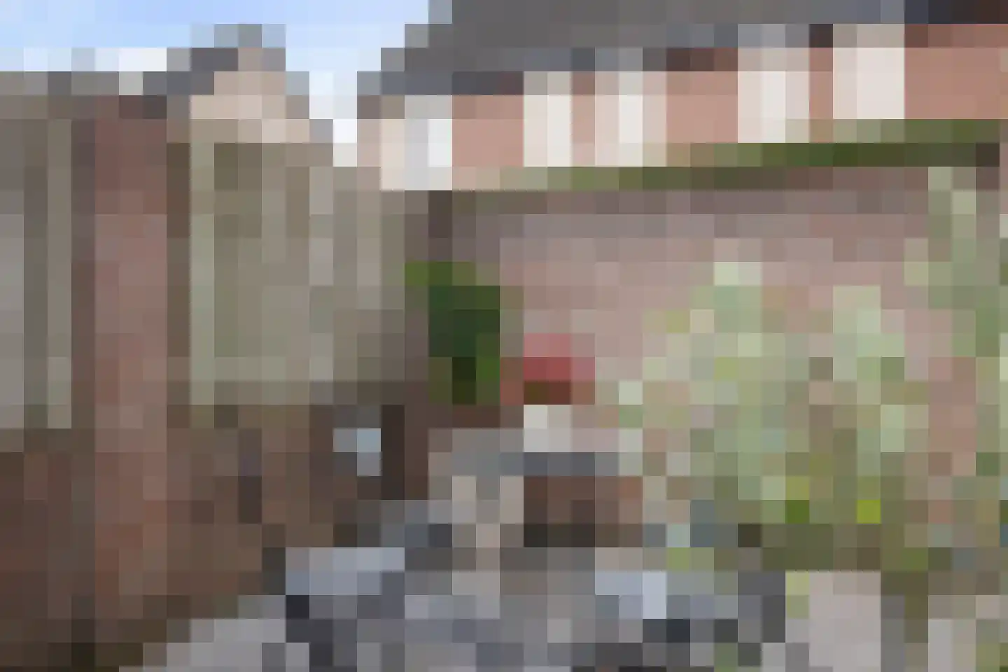 Jan Vermeerstraat 15 Baarlo thumbnail 27