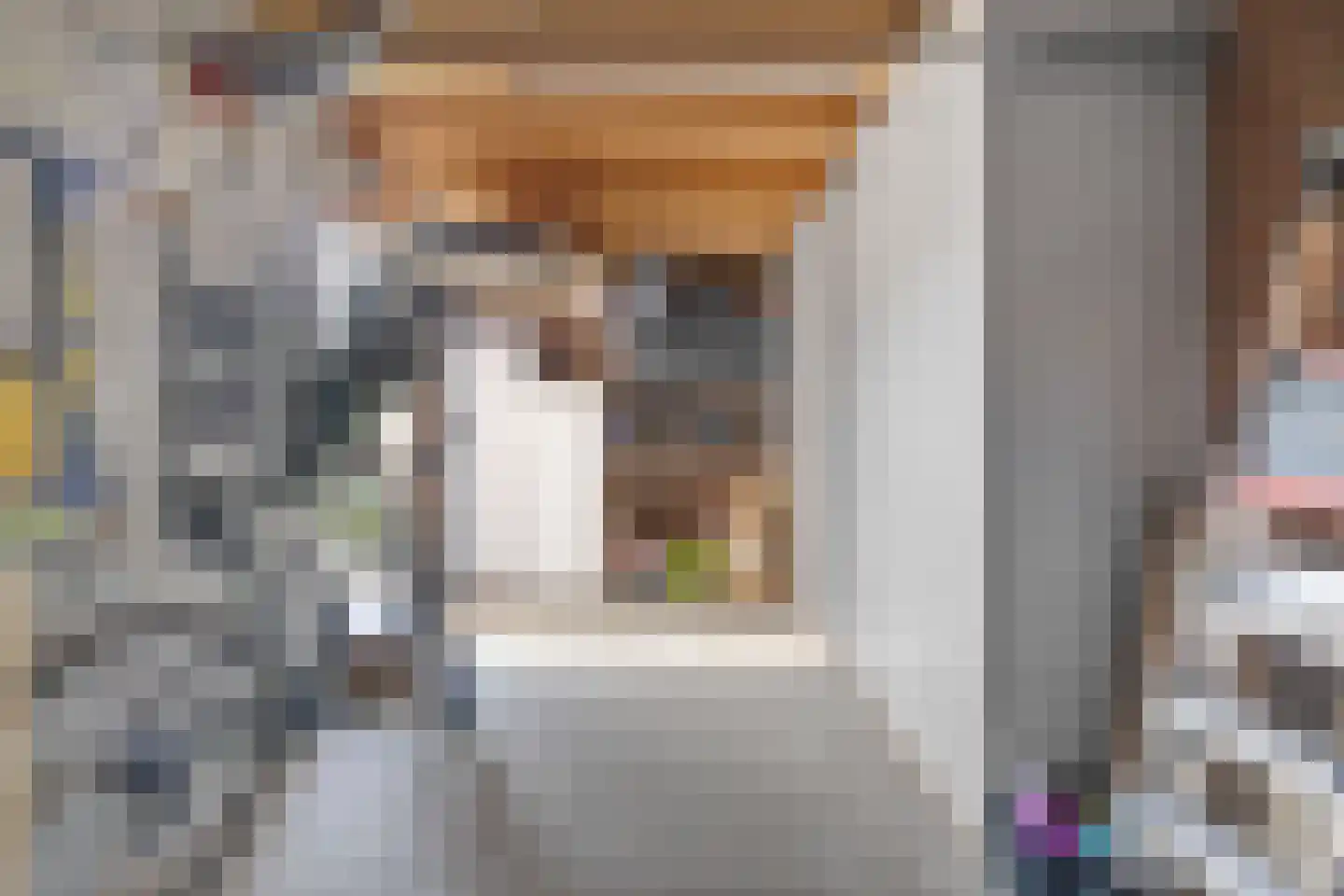 Jan Vermeerstraat 15 Baarlo thumbnail 31