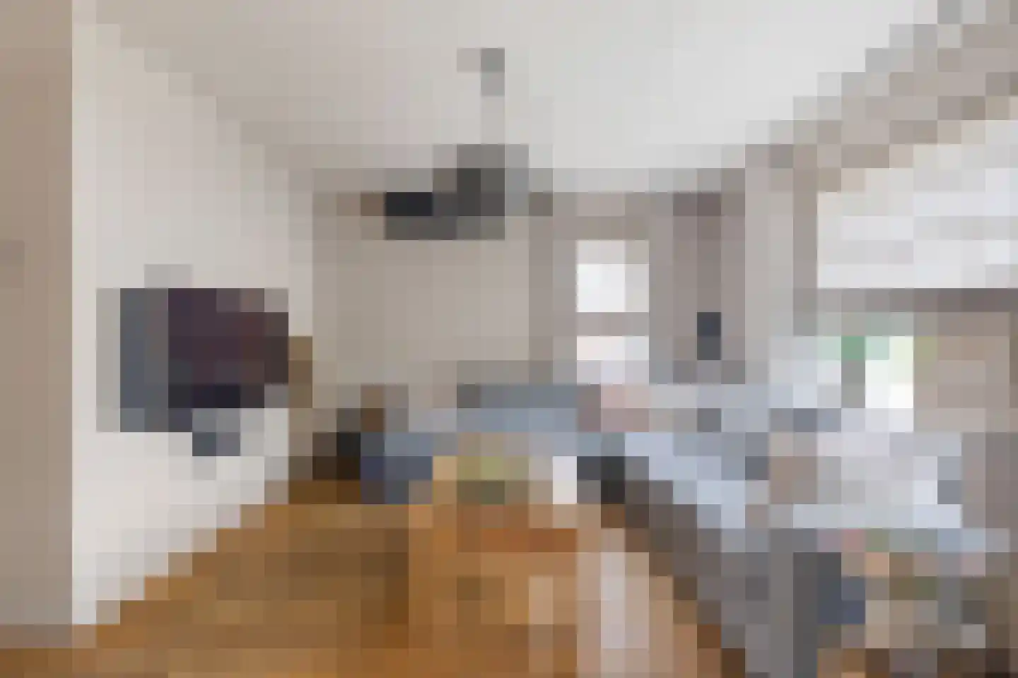 Jan Vermeerstraat 15 Baarlo thumbnail 4