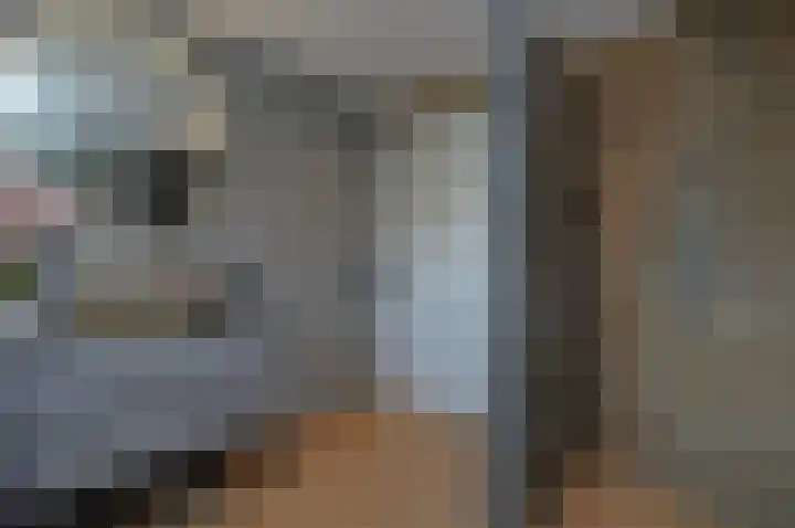 Jan Vermeerstraat 15 Deurne thumbnail 23