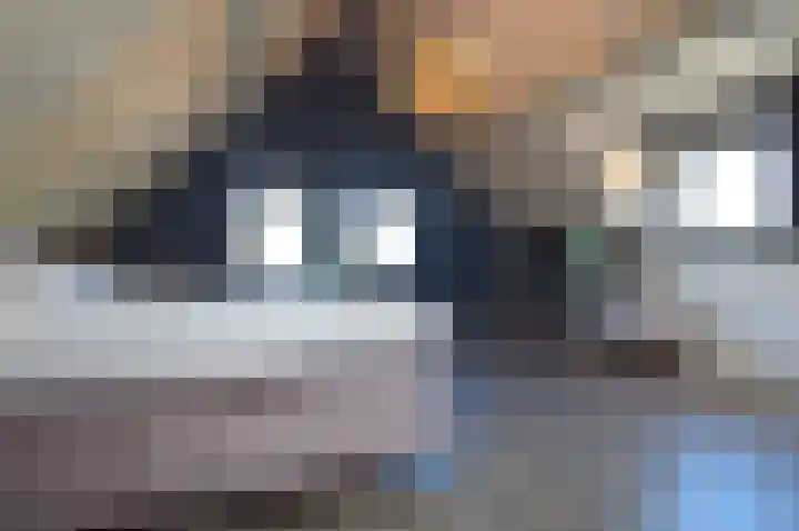 Jan Vermeerstraat 15 Deurne thumbnail 4