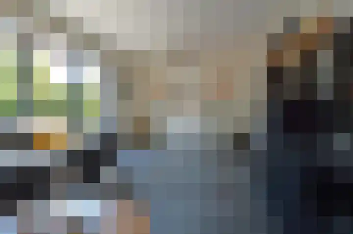 Jan Vermeerstraat 15 Deurne thumbnail 8