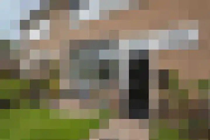 Jan Vermeerstraat 17 Haaksbergen thumbnail 33