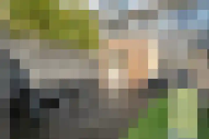 Jan Vermeerstraat 17 Meppel thumbnail 33