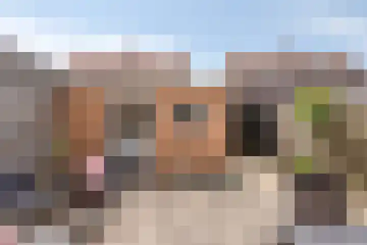 Jan Vermeerstraat 21 Haaksbergen thumbnail 24